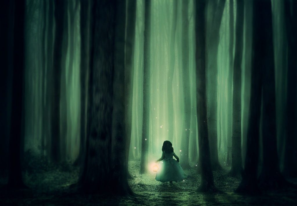 forest-3833973　森林 女の子 木 霧 ランタン 照明 雰囲気 神秘的な 暗い 明るい ツチボタル