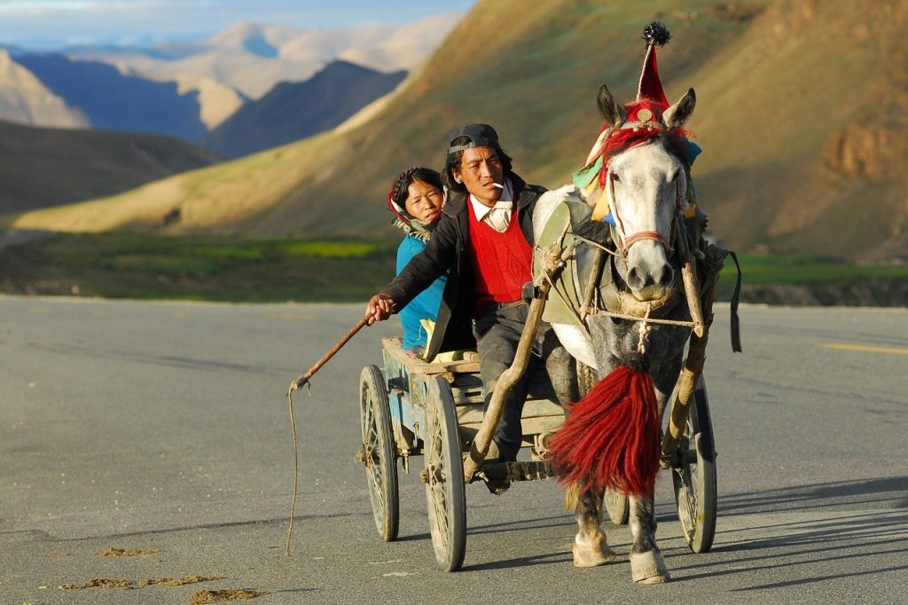 tibet-952688　チベット 交通機関 風景 コーチ 馬車 馬 鞭 伝統的に 文化 ネパール