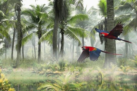 landscape-5118370　風景 オウム 植生 自然 トロピカル エキゾチック