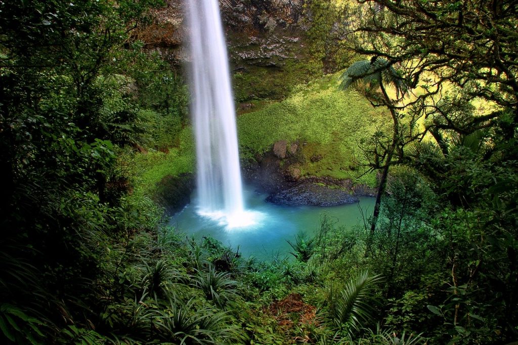 bridal-veil-fall-52451　ブライダル ベール秋 水の秋 ニュージーランド 滝 自然 北島 緑
