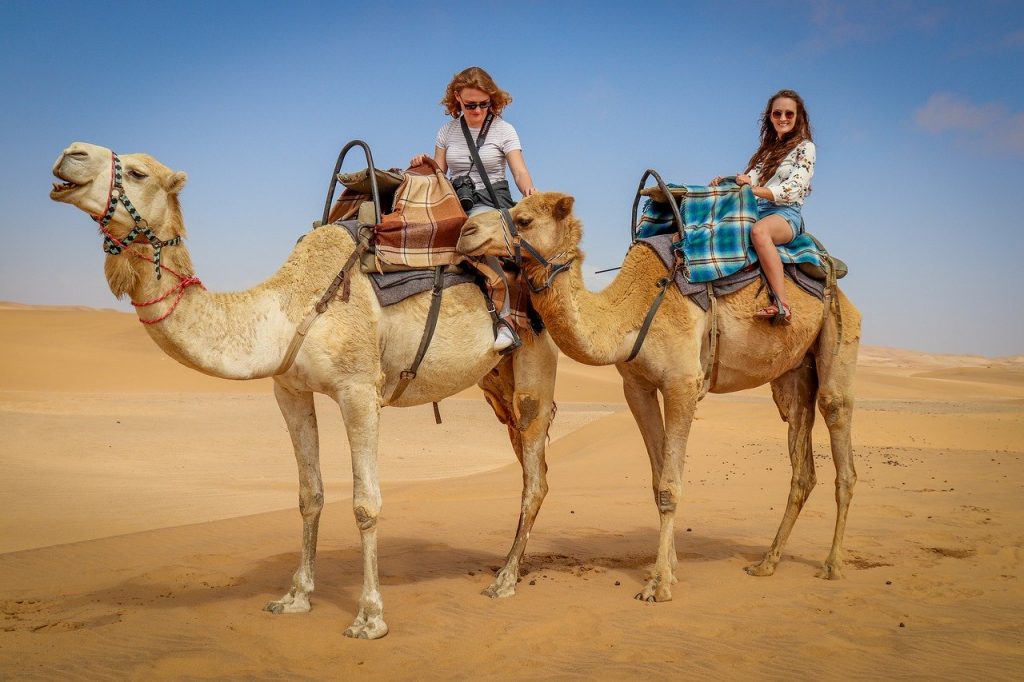 camel-4785794　キャメル 砂漠 ナミブ砂漠 青い空 Namibians ラクダの乗り物 観光 砂丘